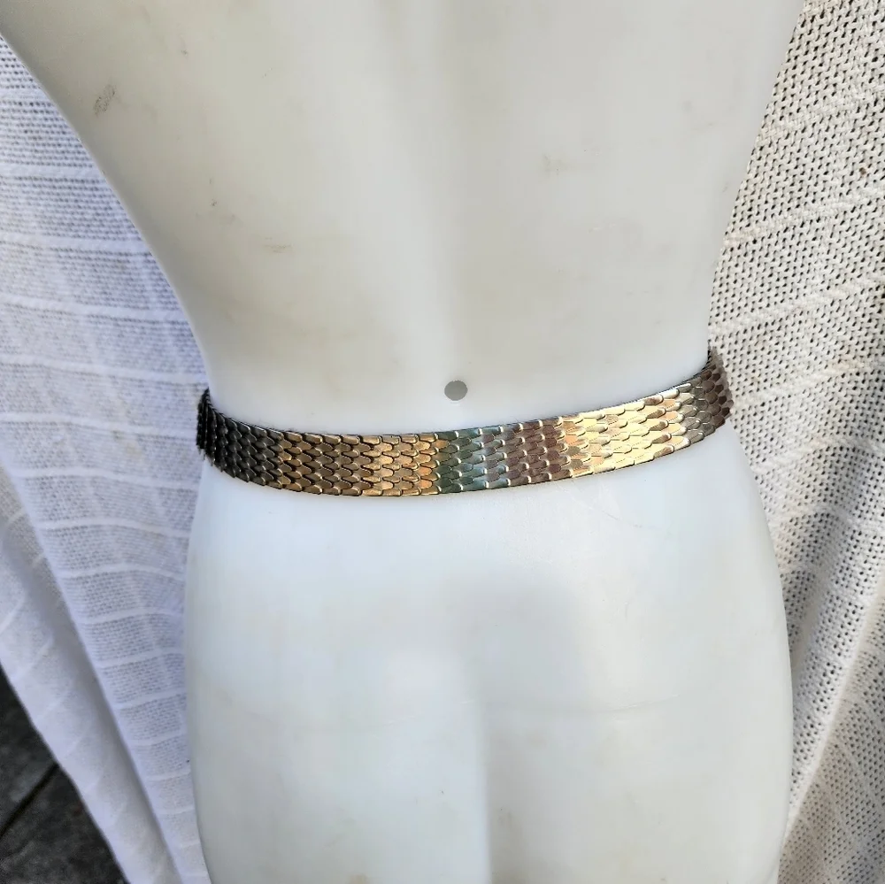 Vintage‎ Deep  silver fishscale expansion belt M